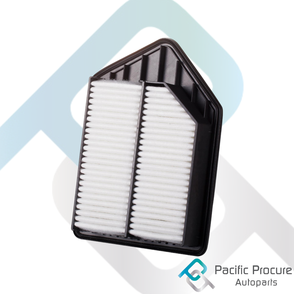 Filtro Aire Safe-Guard F-17A00